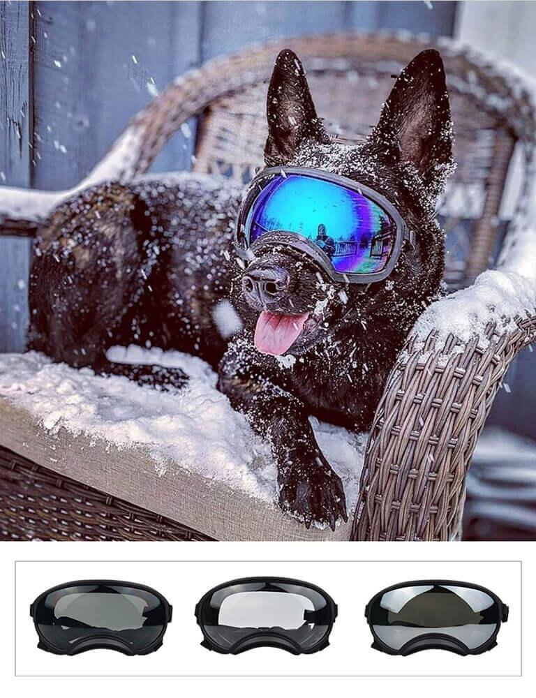 Doggy Goggles