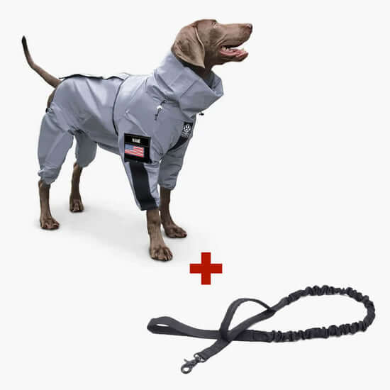 Premium Reflective Waterproof Dog Coat for All Seasons