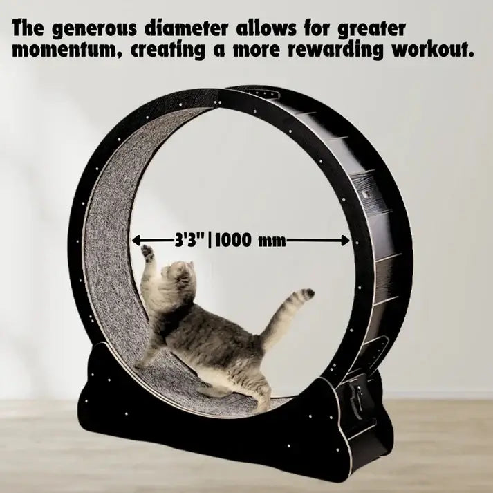 Cat Running Wheel – Exercise & Climbing Frame