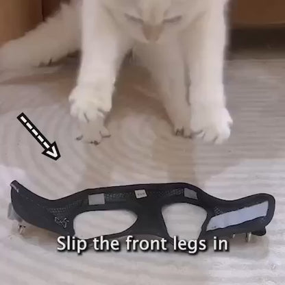 Kitty Leash