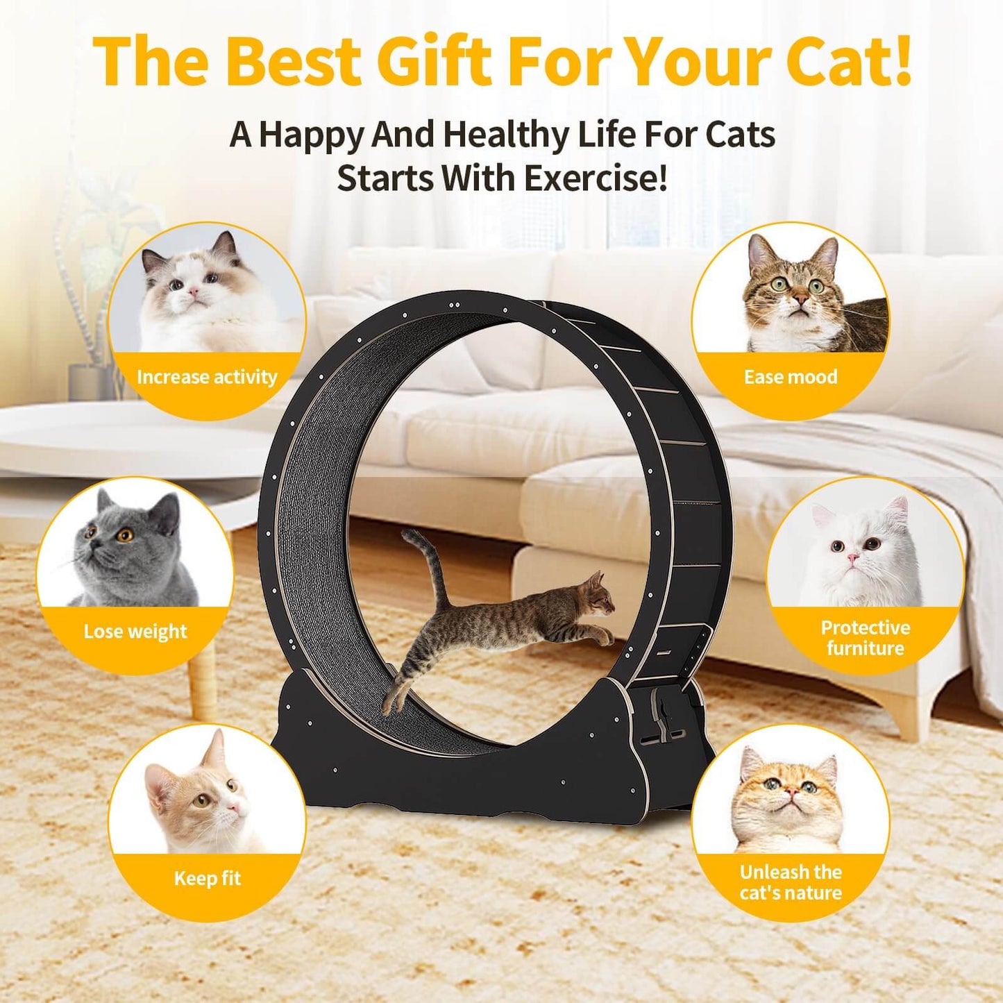 Cat Running Wheel – Exercise & Climbing Frame